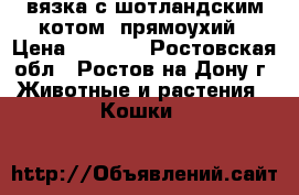 вязка с шотландским котом  прямоухий › Цена ­ 1 500 - Ростовская обл., Ростов-на-Дону г. Животные и растения » Кошки   